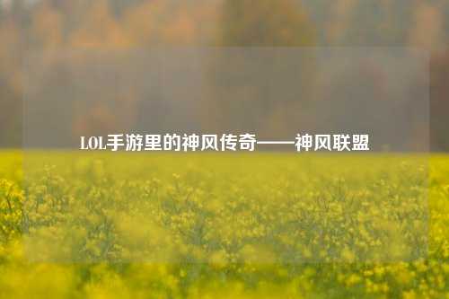 LOL手游里的神风传奇——神风联盟