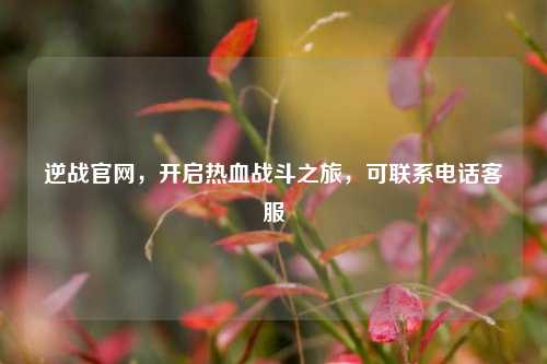 逆战官网,开启热血战斗之旅,可联系电话客服