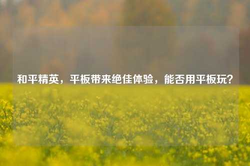 和平精英,平板带来绝佳体验,能否用平板玩?