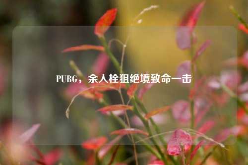 PUBG,余人栓狙绝境致命一击