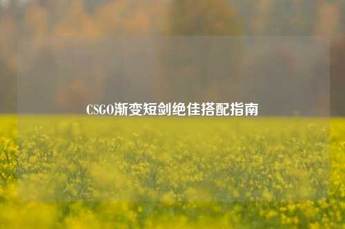 CSGO渐变短剑绝佳搭配指南