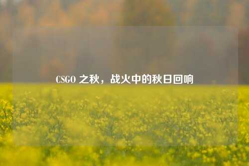 CSGO 之秋,战火中的秋日回响