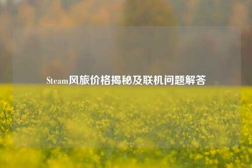 Steam风旅价格揭秘及联机问题解答
