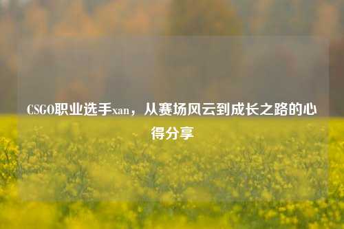 CSGO职业选手xan，从赛场风云到成长之路的心得分享