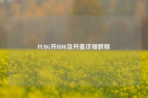 PUBG开HDR及开麦详细教程