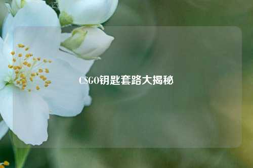 CSGO钥匙套路大揭秘