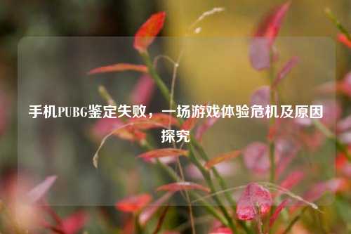手机PUBG鉴定失败,一场游戏体验危机及原因探究