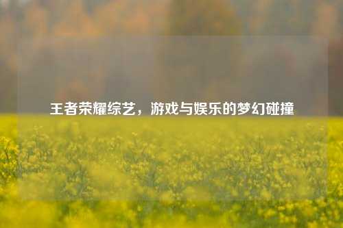 王者荣耀综艺,游戏与娱乐的梦幻碰撞