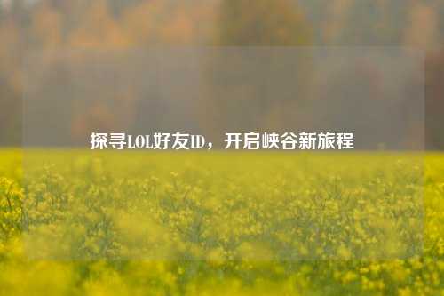 探寻LOL好友ID,开启峡谷新旅程