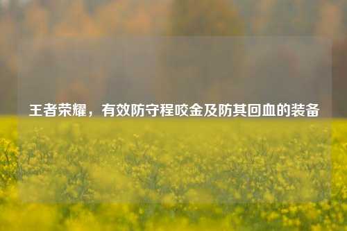 王者荣耀，有效防守程咬金及防其回血的装备