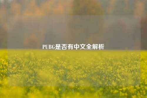 PUBG是否有中文全解析