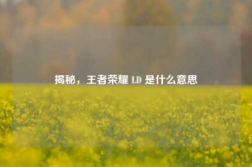 揭秘,王者荣耀 LD 是什么意思