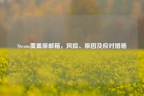 Steam覆盖原邮箱,风险、原因及应对措施