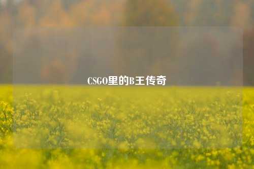 CSGO里的B王传奇
