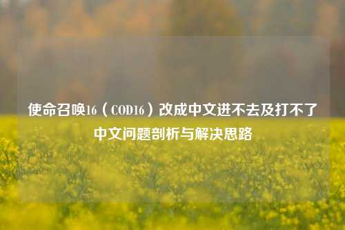 使命召唤16（COD16）改成中文进不去及打不了中文问题剖析与解决思路