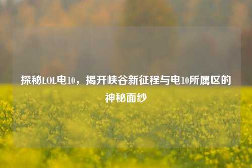 探秘LOL电10,揭开峡谷新征程与电10所属区的神秘面纱