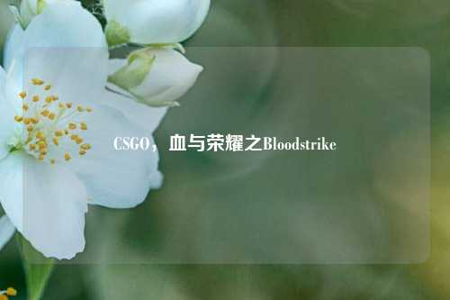 CSGO,血与荣耀之Bloodstrike