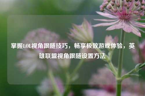 掌握LOL视角跟随技巧,畅享极致游戏体验,英雄联盟视角跟随设置方法