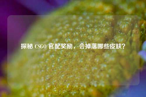 探秘 CSGO 官配奖励,会掉落哪些皮肤?