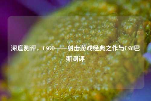 深度测评，CSGO——射击游戏经典之作与CSM巴斯测评