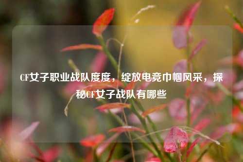 CF女子职业战队度度,绽放电竞巾帼风采,探秘CF女子战队有哪些