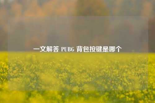 一文解答 PUBG 背包按键是哪个