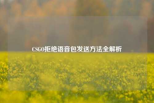 CSGO拒绝语音包发送方法全解析