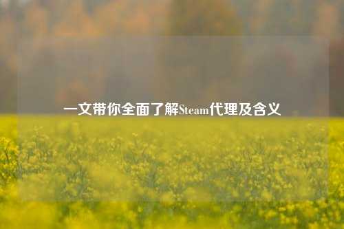 一文带你全面了解Steam代理及含义