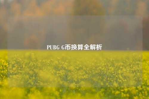 PUBG G币换算全解析