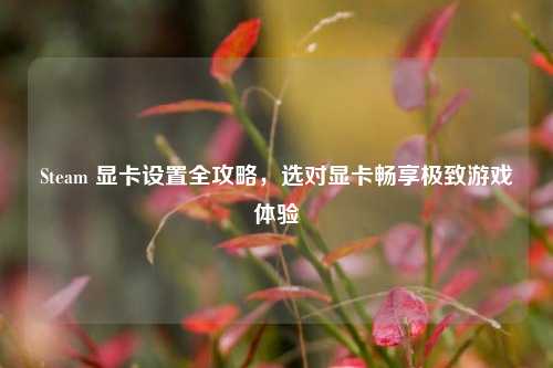 Steam 显卡设置全攻略,选对显卡畅享极致游戏体验