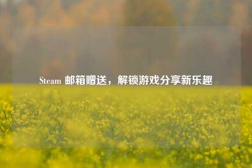 Steam 邮箱赠送,解锁游戏分享新乐趣