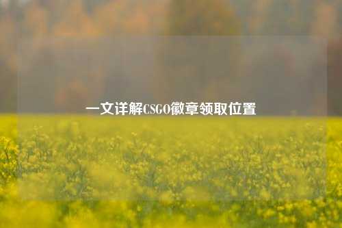一文详解CSGO徽章领取位置