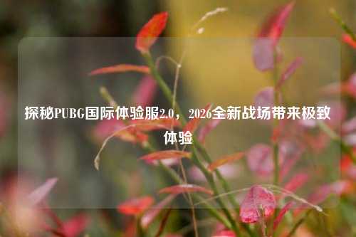 探秘PUBG国际体验服2.0,2026全新战场带来极致体验