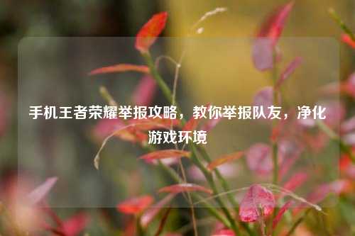 手机王者荣耀举报攻略,教你举报队友,净化游戏环境