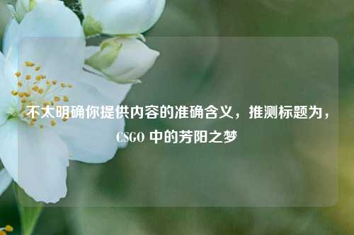 不太明确你提供内容的准确含义,推测标题为,CSGO 中的芳阳之梦