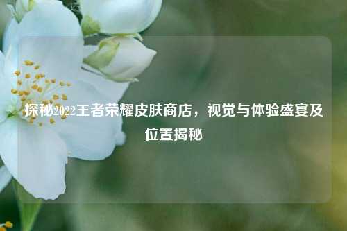 探秘2022王者荣耀皮肤商店,视觉与体验盛宴及位置揭秘