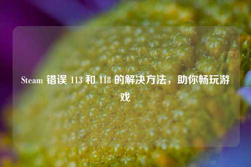Steam 错误 113 和 118 的解决方法,助你畅玩游戏