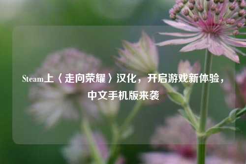 Steam上〈走向荣耀〉汉化,开启游戏新体验,中文手机版来袭