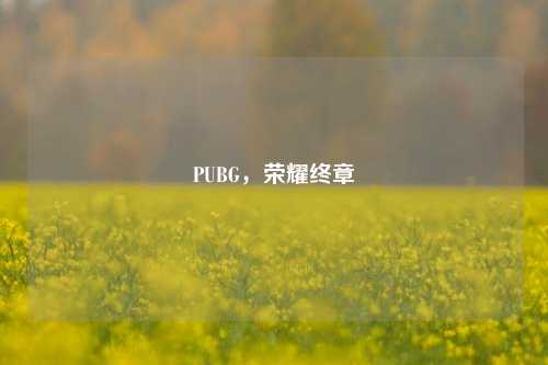 PUBG，荣耀终章