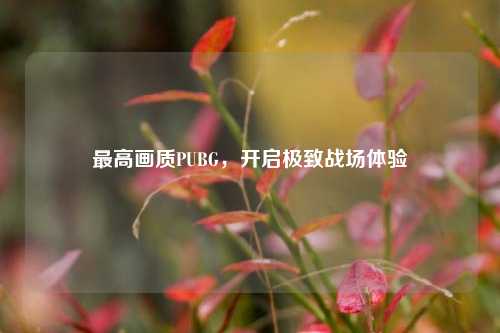 最高画质PUBG,开启极致战场体验