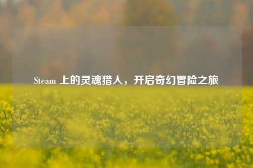 Steam 上的灵魂猎人,开启奇幻冒险之旅