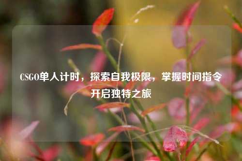 CSGO单人计时,探索自我极限,掌握时间指令开启独特之旅
