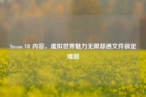 Steam VR 内容,虚拟世界魅力无限却遇文件锁定难题