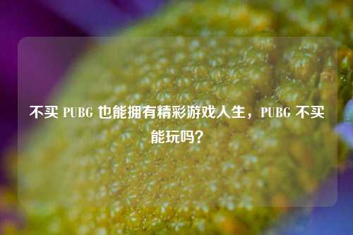 不买 PUBG 也能拥有精彩游戏人生,PUBG 不买能玩吗?