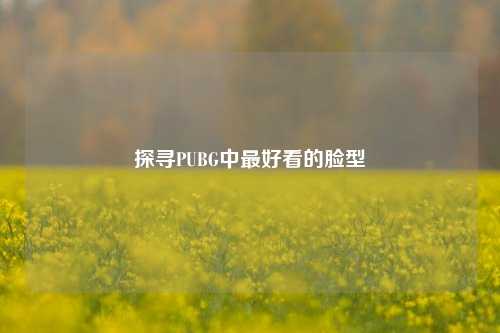 探寻PUBG中最好看的脸型