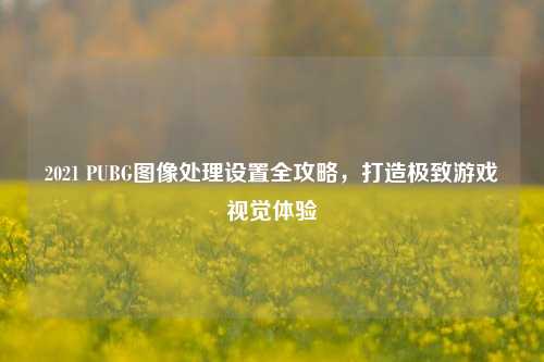 2021 PUBG图像处理设置全攻略，打造极致游戏视觉体验