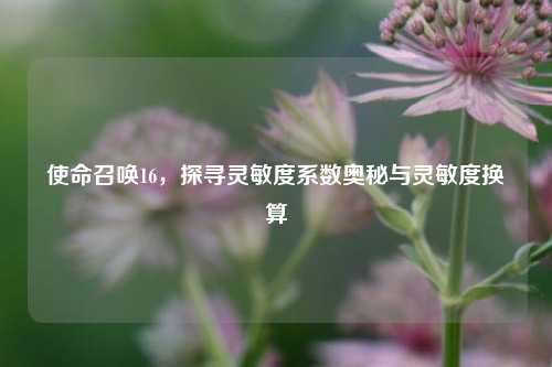 使命召唤16,探寻灵敏度系数奥秘与灵敏度换算
