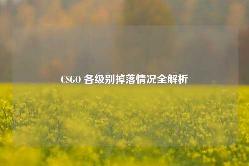 CSGO 各级别掉落情况全解析