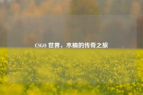 CSGO 世界,木楠的传奇之旅