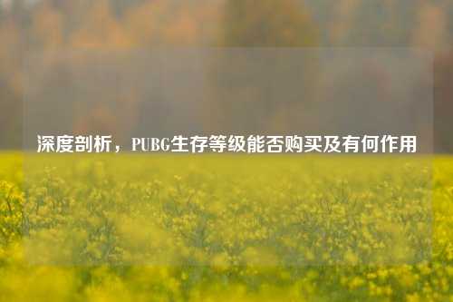 深度剖析，PUBG生存等级能否购买及有何作用